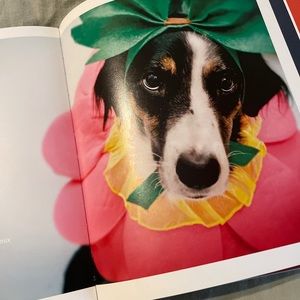 Hardcover book. Indognito a book of canines in costume